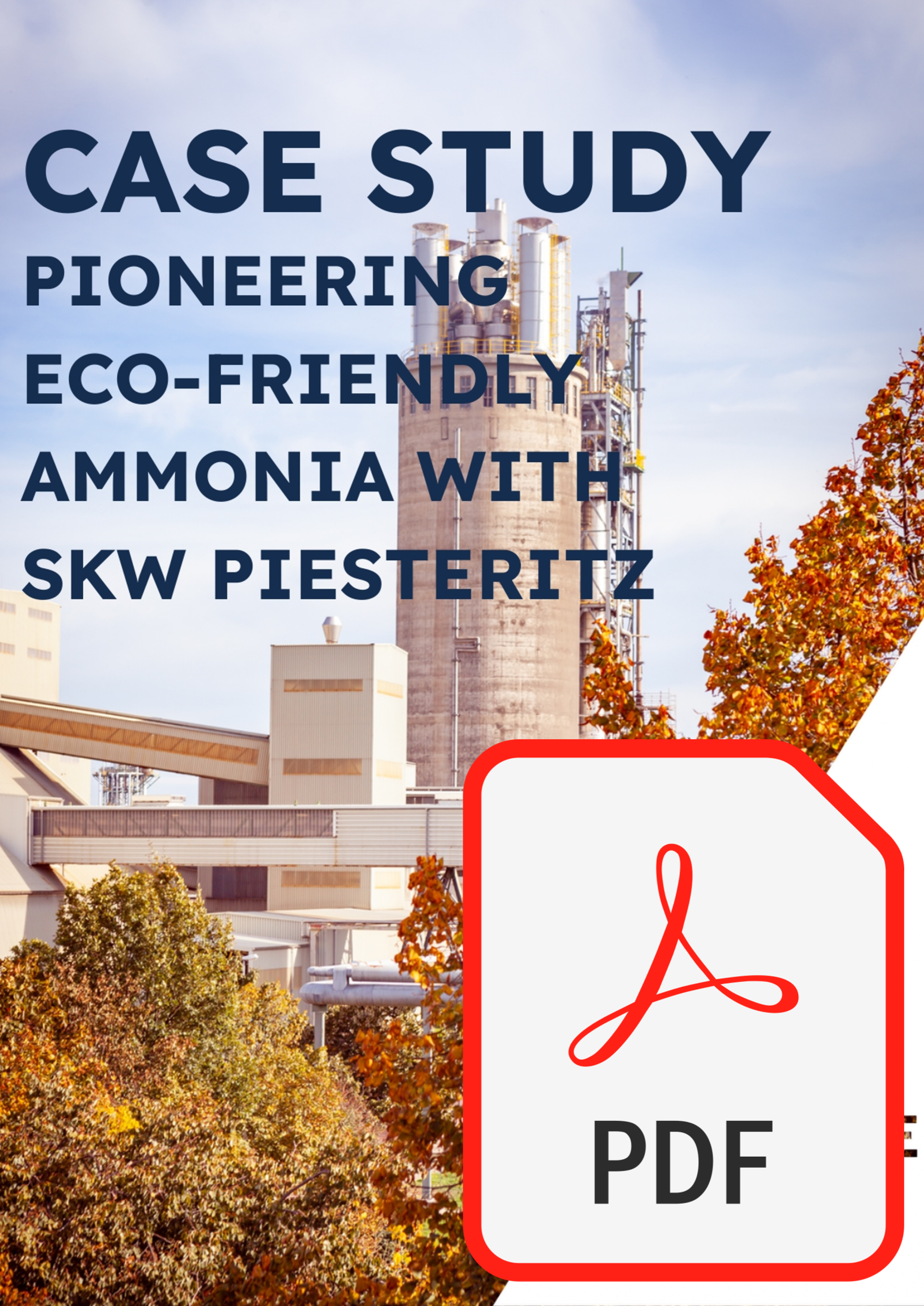 PDF 3.png